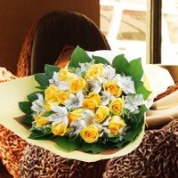 Astromedia with Yellow Roses