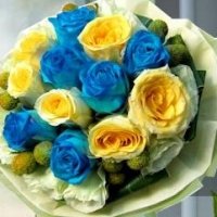 Blue & yellow Roses