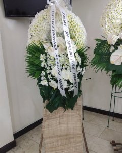!Peace White Sympathy Standing